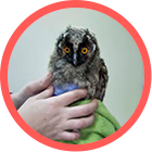 Orthem - Gestión Integral de la Biodiversidad