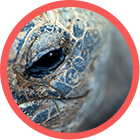 Gestión Integral de la Biodiversidad