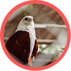 Gestión Integral de la Biodiversidad