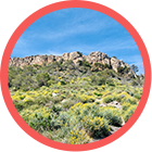 Gestión Forestal Sostenible