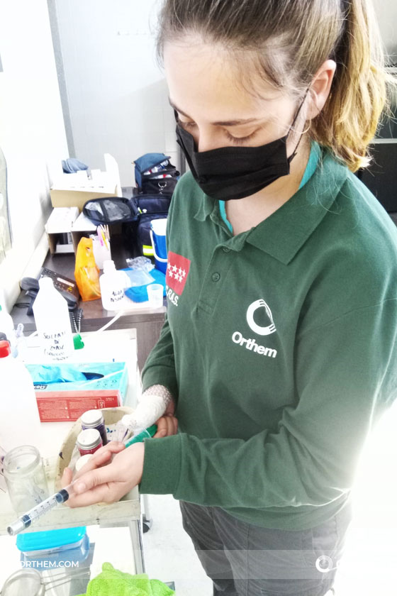 Veterinarios de Orthem rehabilitan a casi 300 ejemplares de especies autóctonas en el CRAS de Madrid