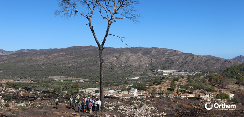 Las labores de recuperación tras el incendio forestal de Montitxelvo, en Valencia, ya están al 50% y finalizarán antes de lo previsto