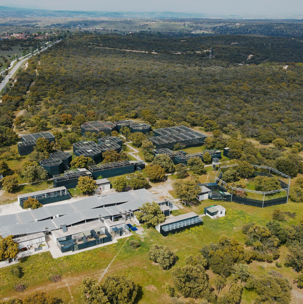 Orthem y la Universidad Complutense se unen para preservar la fauna silvestre de Madrid