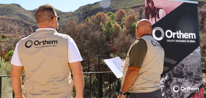 Los trabajos de regeneración forestal tras el incendio de Montitxelvo ya están prácticamente concluidos
