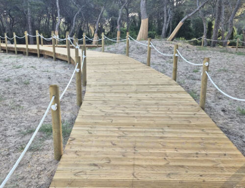 Orthem encara la recta final de las obras de recuperación ecológica del Pouet de El Saler, en Valencia