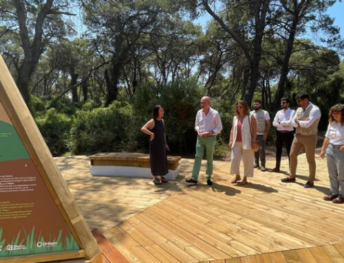 Orthem culmina la restauración de Pouet de El Saler, en Valencia, con criterios ecológicos y paisajísticos