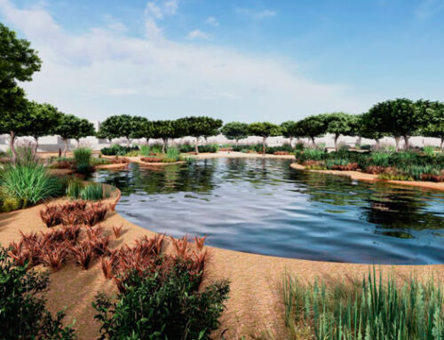 Orthem renaturalizará la Rambla Sur de Torre Pacheco para prevenir inundaciones