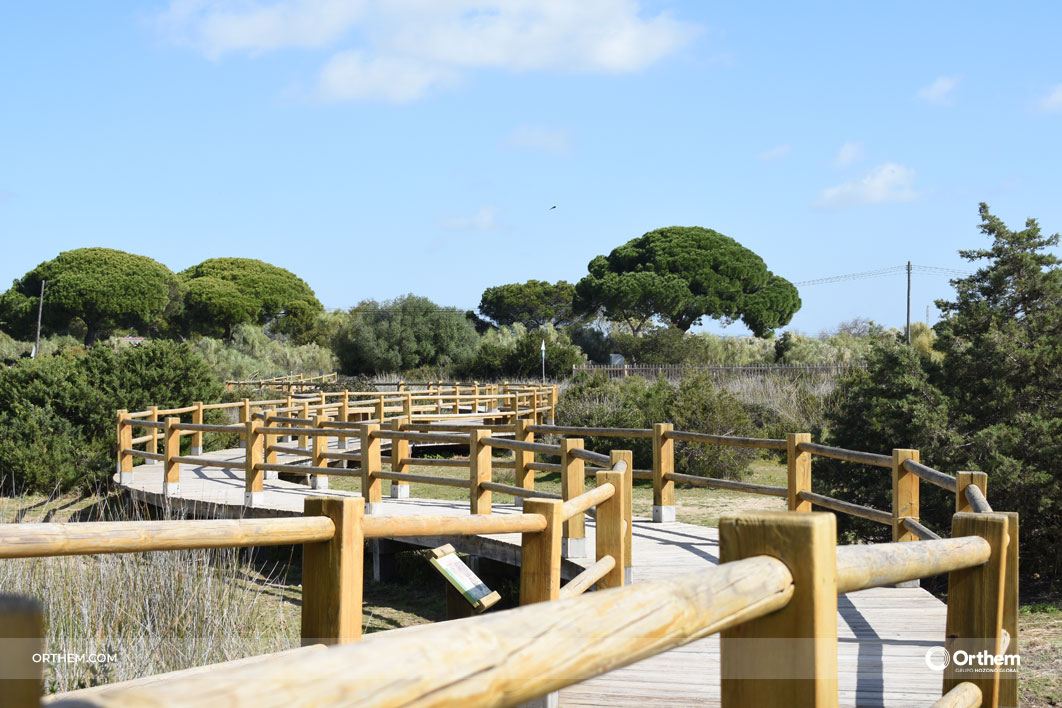 Parque de los Toruños: formación y prevención para proteger un espacio natural clave en Cádiz Parque de los Toruños: formación y prevención para proteger un espacio natural clave en Cádiz