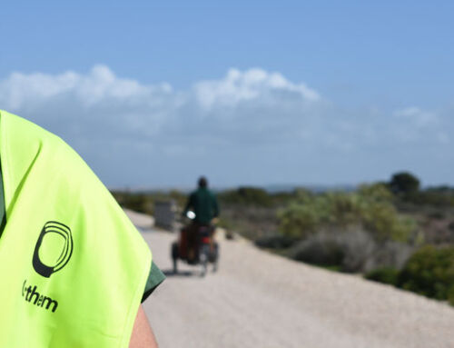 Parque de los Toruños: formación y prevención para proteger un espacio natural clave en Cádiz