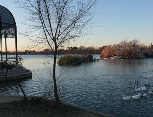Polvoranca: el gran parque del sur de Madrid se renueva para seguir siendo esencial