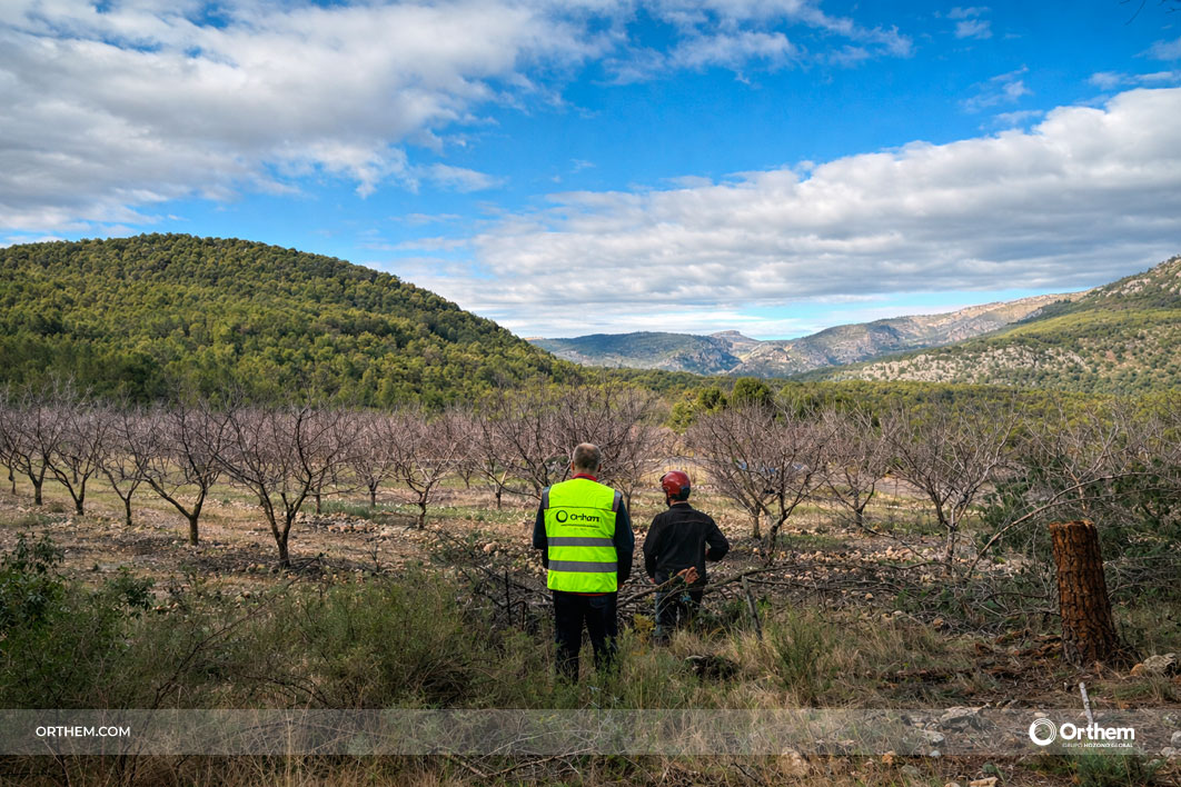 Life Token CO₂ arranca en Moratalla y amplía su despliegue forestal en el sureste peninsular Life Token CO₂ arranca en Moratalla y amplía su despliegue forestal en el sureste peninsular