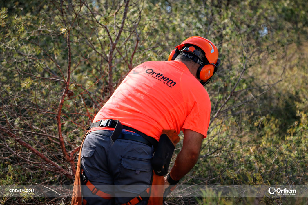 Life Token CO₂ arranca en Moratalla y amplía su despliegue forestal en el sureste peninsular Life Token CO₂ arranca en Moratalla y amplía su despliegue forestal en el sureste peninsular