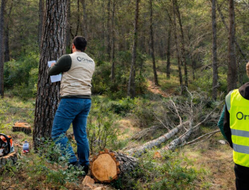 Life Token CO₂ arranca en Moratalla y amplía su despliegue forestal en el sureste peninsular