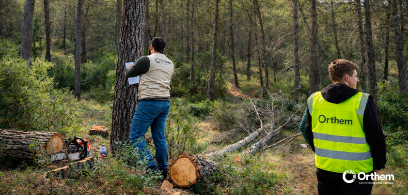 Life Token CO₂ arranca en Moratalla y amplía su despliegue forestal en el sureste peninsular