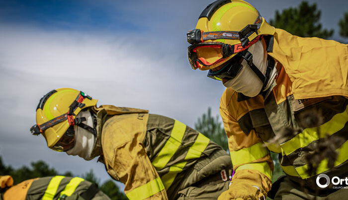 Por qué es necesario gestionar los bosques: motivos ecológicos, económicos y de salud pública