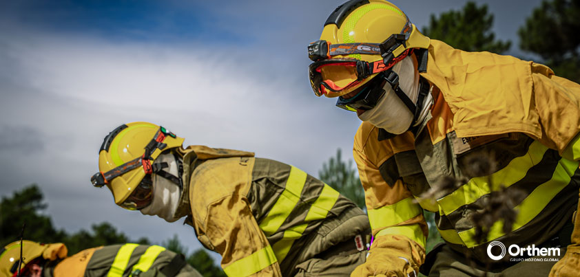 Por qué es necesario gestionar los bosques: motivos ecológicos, económicos y de salud pública