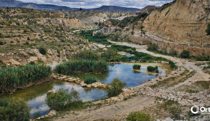 El río Mula recuperará su vegetación autóctona en más de la mitad de su recorrido