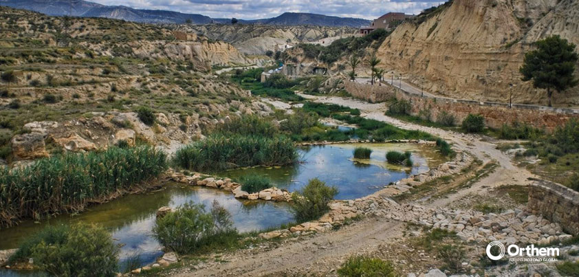 El río Mula recuperará su vegetación autóctona en más de la mitad de su recorrido