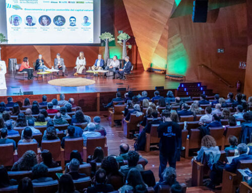 “Hemos pasado de ser una empresa forestal tradicional a gestionar ecosistemas”