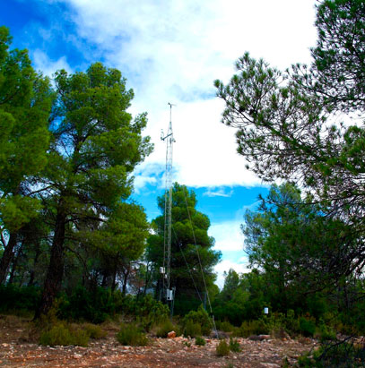 Orthem se suma en Madrid a la celebración del Día Internacional de los Bosques