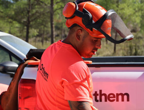 Orthem se suma en Madrid a la celebración del Día Internacional de los Bosques