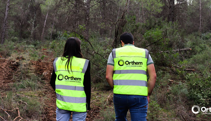 El proyecto Life Token encara su recta final