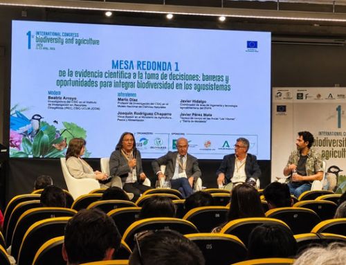 Seis años de seguimiento de aves esteparias en Castilla-La Mancha