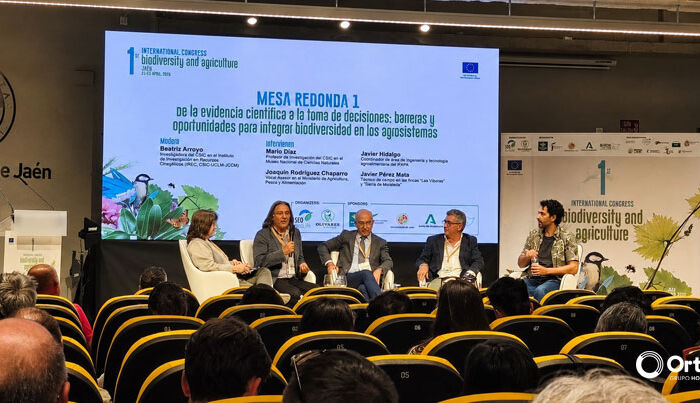 Seis años de seguimiento de aves esteparias en Castilla-La Mancha