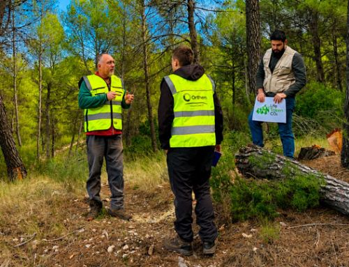 El bosque mediterráneo encuentra en Life Token CO₂ una nueva forma de contar su valor climático