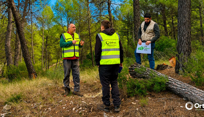 El bosque mediterráneo encuentra en Life Token CO₂ una nueva forma de contar su valor climático