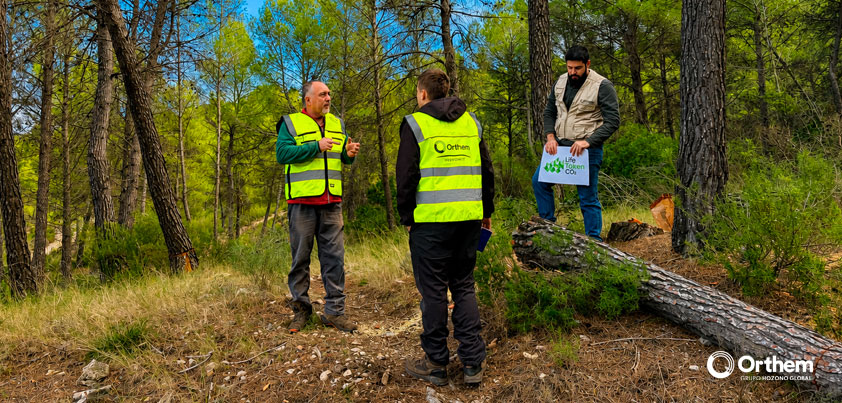 El bosque mediterráneo encuentra en Life Token CO₂ una nueva forma de contar su valor climático