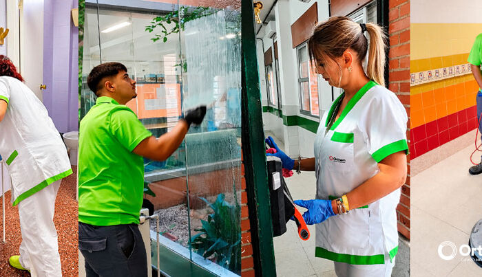 Vegas del Genil mejora la limpieza de sus edificios municipales y centros educativos con un nuevo servicio